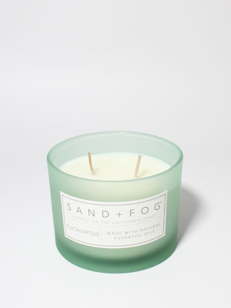 Eucalyptus 12 oz scented candle