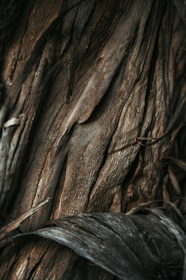 Vanilla Sandalwood 110 ml Bouquet Diffuser